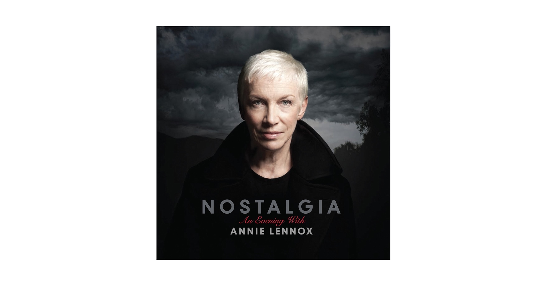 アニー・レノックス プロモDVD Annie Lennox アニー・レノックス/London,UK 2009